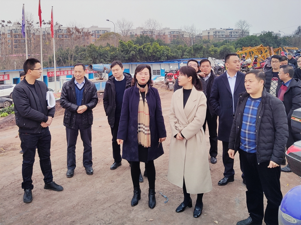 高新區管委會主任單鑫視察公司天問苑項目建設情況